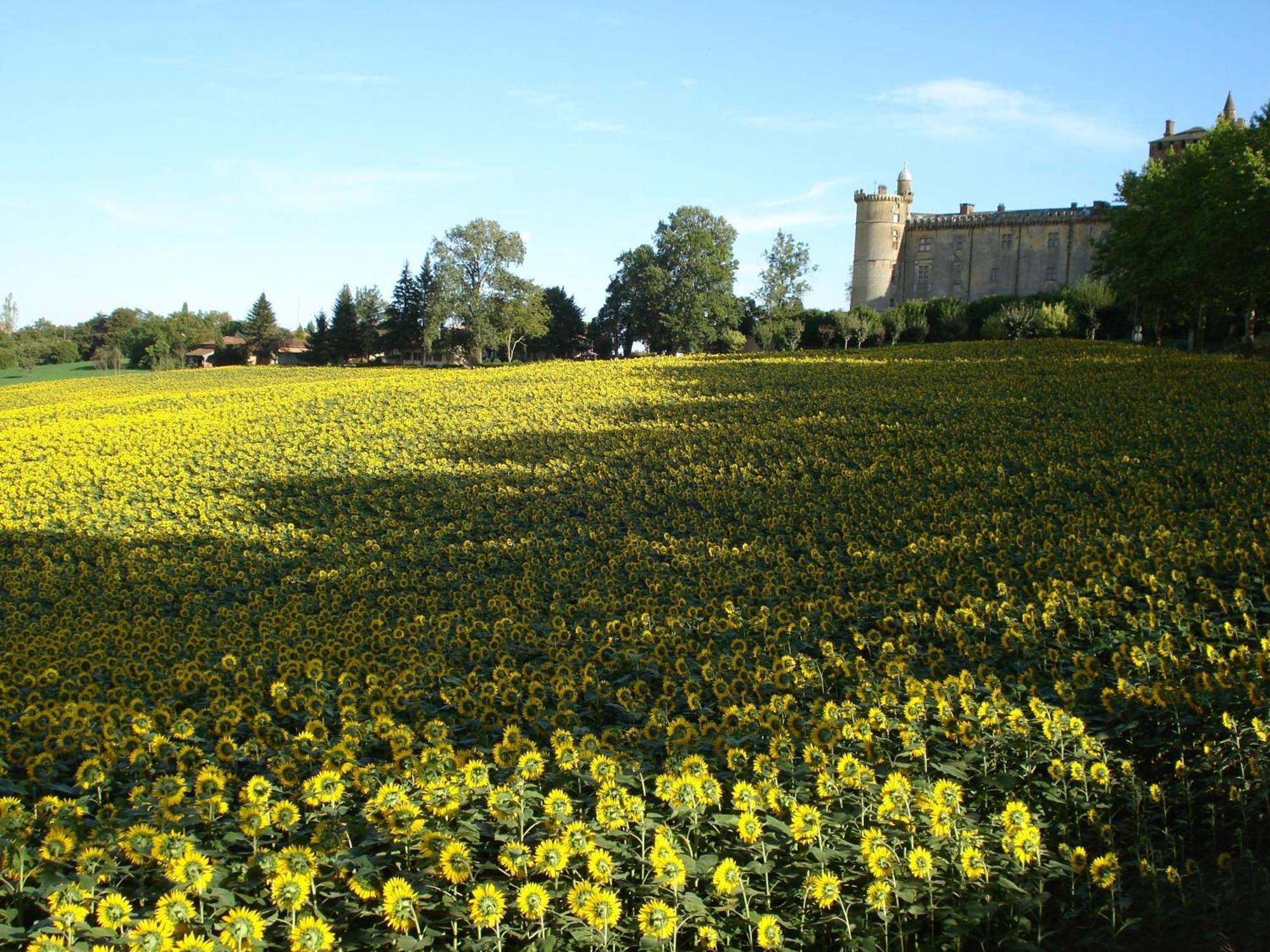 Relais Du Chateau Hotel Saint-Blancard Exterior photo